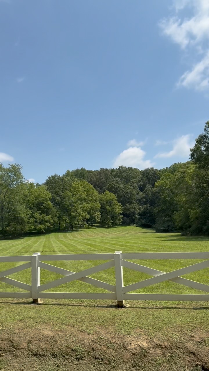 Beautiful lawn with professional striping patterns Chattanooga by Tortuga